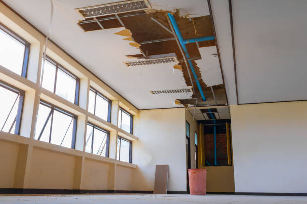 Best Flooded house restoration  in Tawas City, MI