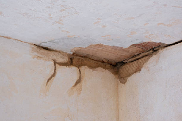 Best Emergency water damage restoration  in Tawas City, MI