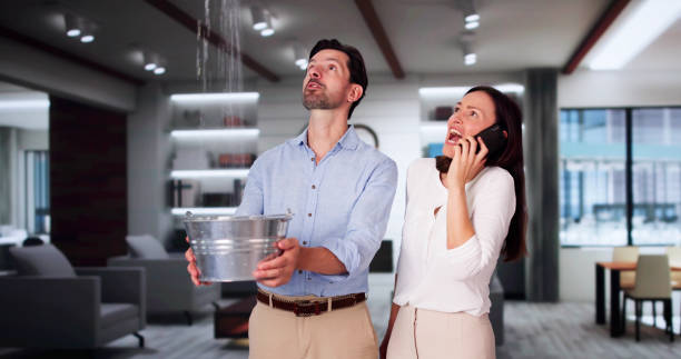 Best Local water damage restoration  in Tawas City, MI