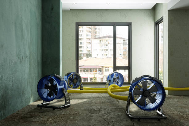 Best Water damage restoration near me  in Tawas City, MI